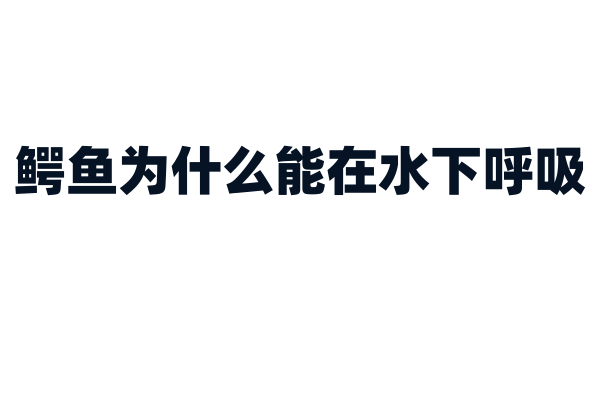 鳄鱼为什么能在水下呼吸？