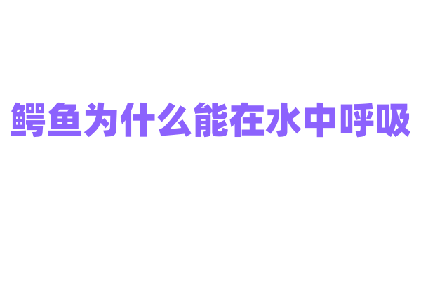 鳄鱼为什么能在水中呼吸？