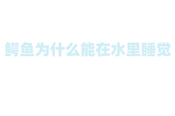 鳄鱼为什么能在水里睡觉？