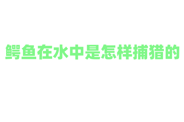 鳄鱼在水中是怎样捕猎的