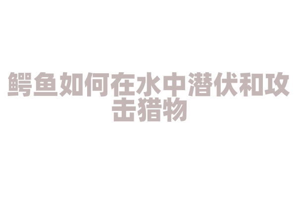 鳄鱼如何在水中潜伏和攻击猎物？