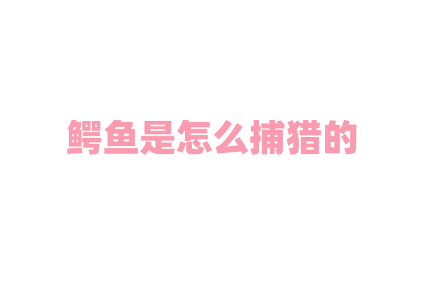 鳄鱼是怎么捕猎的，它的咬合力有多强？