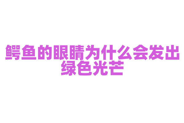鳄鱼的眼睛为什么会发出绿色光芒？