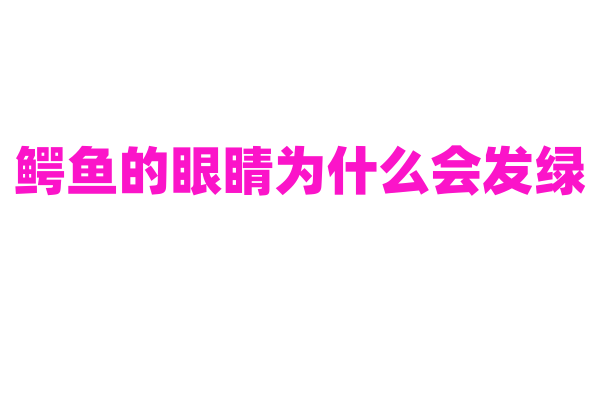 鳄鱼的眼睛为什么会发绿？