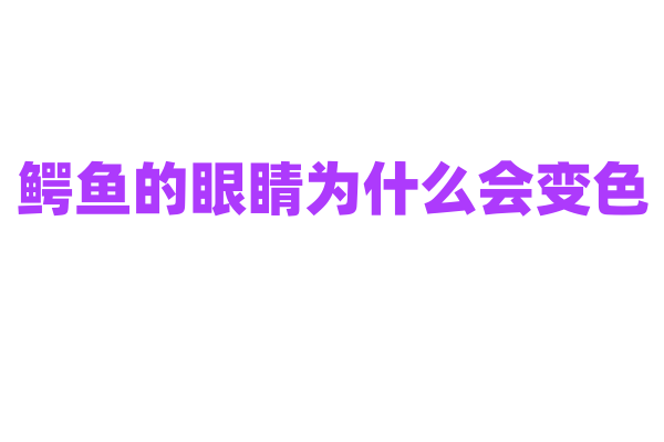 鳄鱼的眼睛为什么会变色？