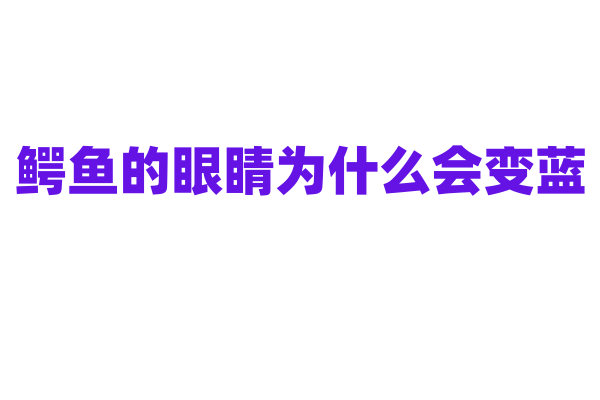 鳄鱼的眼睛为什么会变蓝？