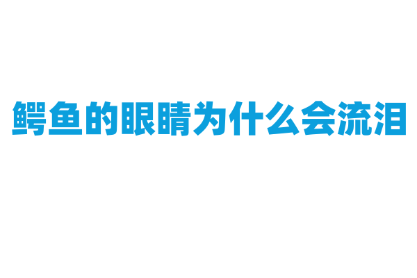 鳄鱼的眼睛为什么会流泪？