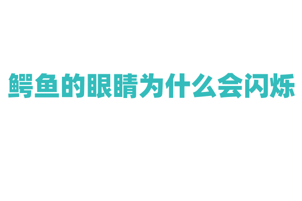 鳄鱼的眼睛为什么会闪烁？