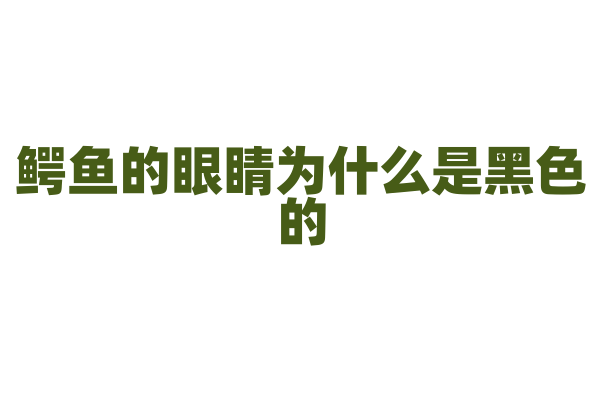 鳄鱼的眼睛为什么是黑色的？