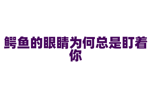 鳄鱼的眼睛为何总是盯着你？
