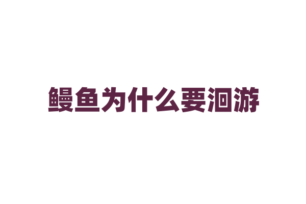 鳗鱼为什么要洄游，它们的洄游路线和原因是什么？