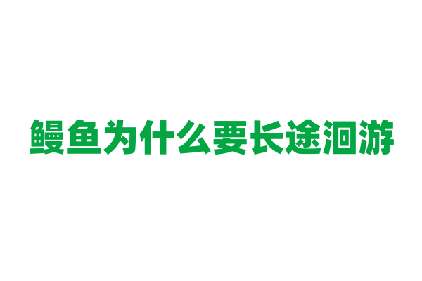 鳗鱼为什么要长途洄游？
