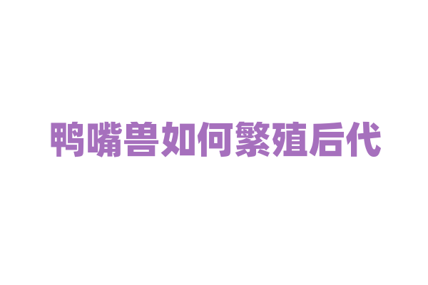 鸭嘴兽如何繁殖后代？