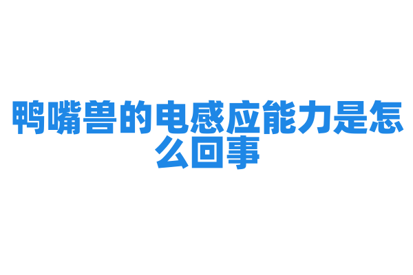 鸭嘴兽的电感应能力是怎么回事？
