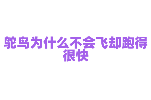 鸵鸟为什么不会飞却跑得很快？