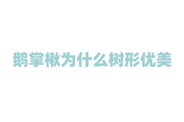 鹅掌楸为什么树形优美，它的生长特性和园林应用价值有哪些？