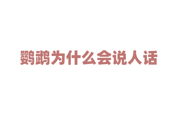鹦鹉为什么会说人话？