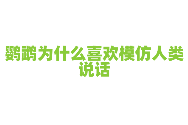 鹦鹉为什么喜欢模仿人类说话？