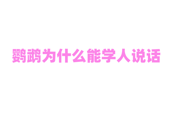 鹦鹉为什么能学人说话
