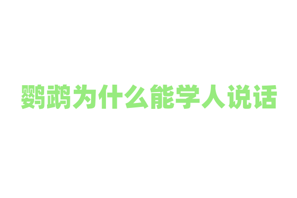 鹦鹉为什么能学人说话？