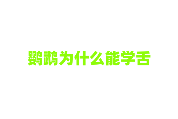 鹦鹉为什么能学舌，它的发声器官和学习能力有什么特点？