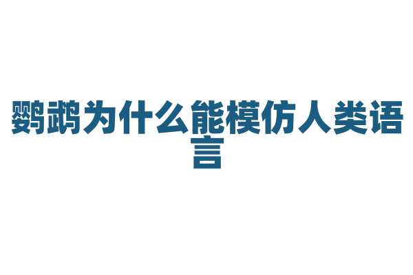 鹦鹉为什么能模仿人类语言？