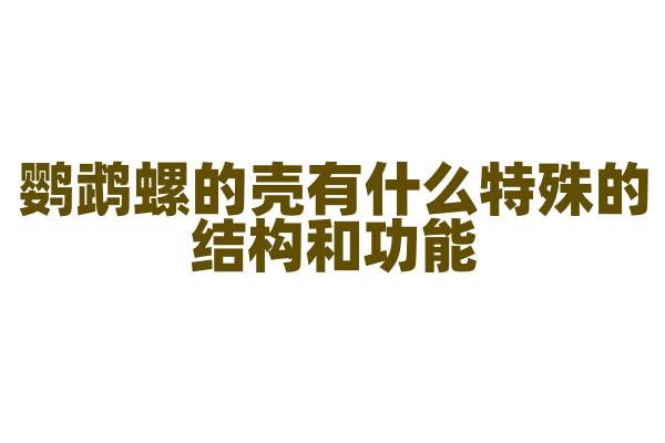 鹦鹉螺的壳有什么特殊的结构和功能？