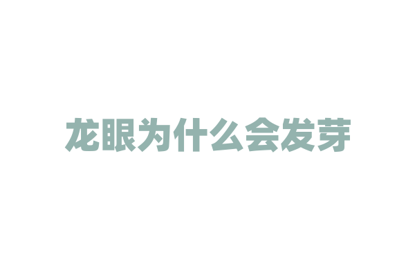 龙眼为什么会发芽？