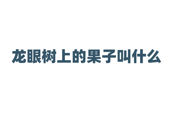 龙眼树上的果子叫什么？