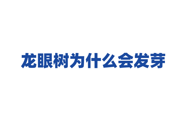 龙眼树为什么会发芽？