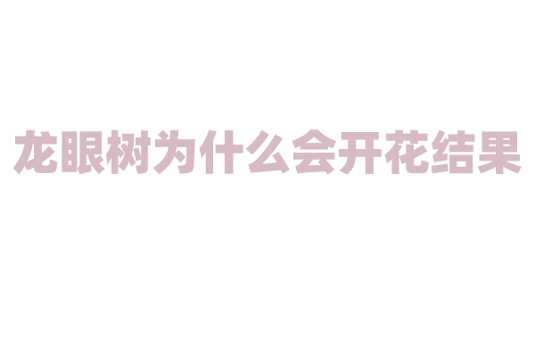 龙眼树为什么会开花结果？