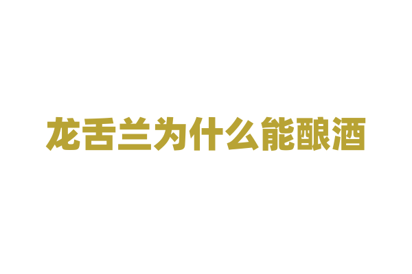 龙舌兰为什么能酿酒，它的糖分和发酵特性是怎样的？