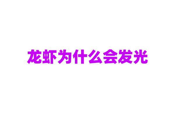 龙虾为什么会发光？