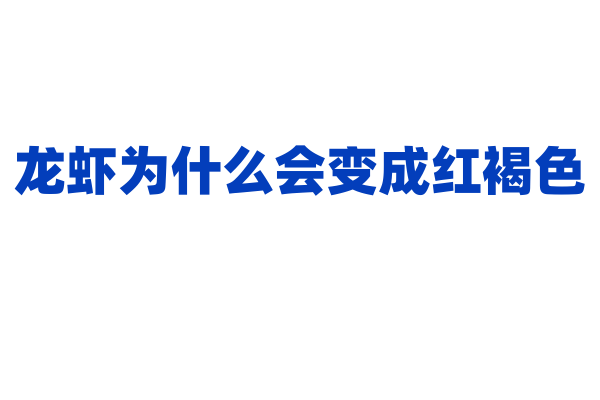 龙虾为什么会变成红褐色？