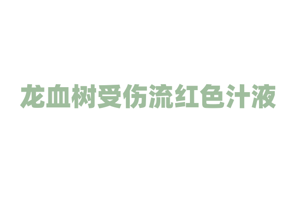 龙血树受伤流红色汁液，这些汁液有什么作用？