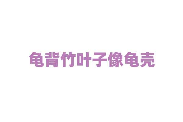 龟背竹叶子像龟壳，它的生长习性如何？